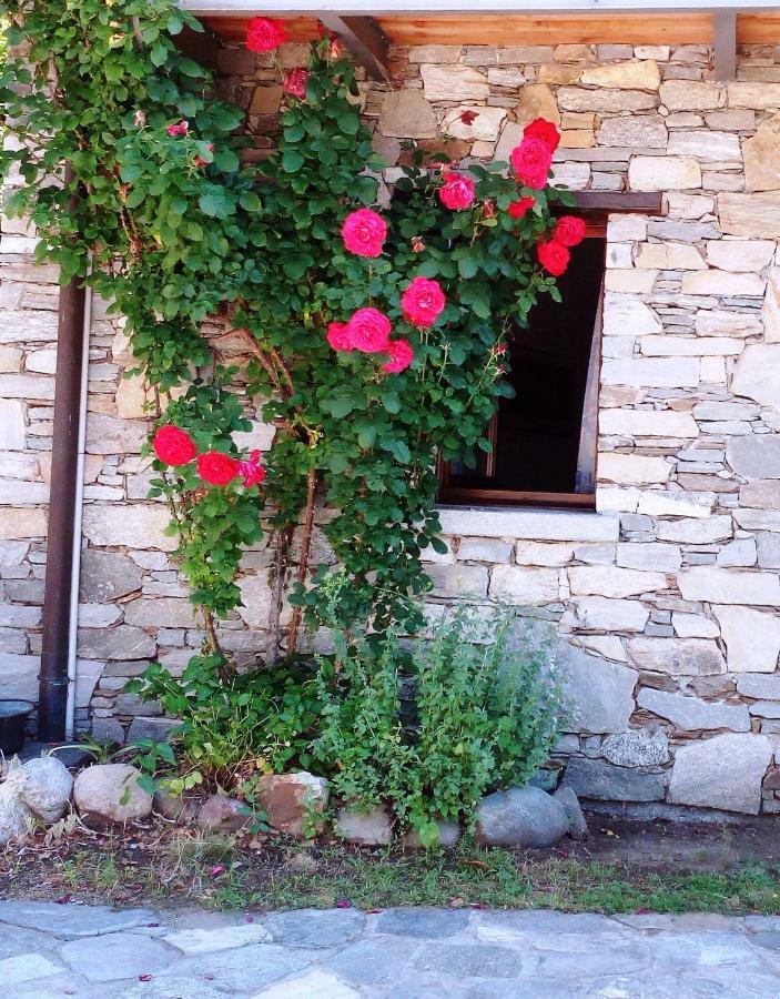 Willa Casa Cicala Trarego Zewnętrze zdjęcie